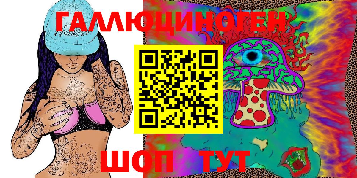 Галлюциногенные грибы Psilocybine cubensis Вязники