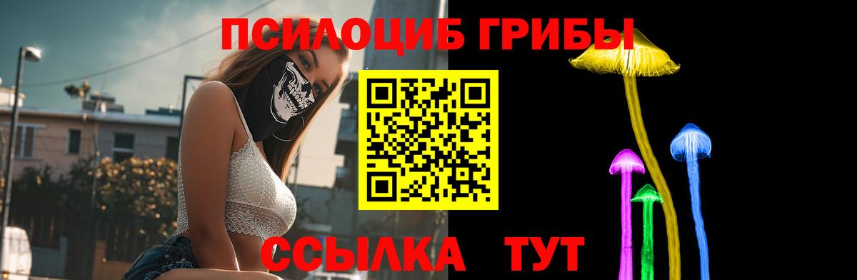 Псилоцибиновые грибы Magic Shrooms  Вход с VPN  Вязники 